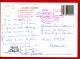 1997 - Espagne - Carte Postale Des Iles Canaries - Cachet "WORLD MAIL-CANARY ISLANDS" + "PORT PAYE PAYS BAS" - Autres & Non Classés