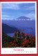 1997 - Espagne - Carte Postale Des Iles Canaries - Cachet "WORLD MAIL-CANARY ISLANDS" + "PORT PAYE PAYS BAS" - Autres & Non Classés