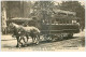 75 . N° 43324 . Tramway A Traction Animale - Transport Urbain En Surface