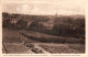 SAINT-DIDIER EN VELAY - Vue Panoramique Prise De Saint-Roch - Saint Didier En Velay