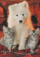 Postal Stationery - Samoyed Dog Puppy - Cats - Kittens - Red Cross 2001 - Suomi Finland - Postage Paid - Postwaardestukken