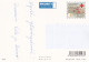 Postal Stationery - Samoyed Dog Puppy - Cats - Kittens - Red Cross 2001 - Suomi Finland - Postage Paid - Postal Stationery