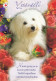 Postal Stationery - Dog - Coton De Tulear - Havanese - Roses - Red Cross 2006 - Suomi Finland - Postage Paid - Postal Stationery