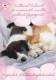 Cat - Kitten & Dog Puppy Sleeping - Red Cross 2011 - Postal Stationery - Suomi Finland - Postage Paid - Ganzsachen