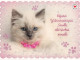 Cat - Kitten - Red Cross - Postal Stationery - Suomi Finland - Postage Paid - Postal Stationery