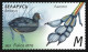 2023 1507 Belarus Features Of Waterfowl MNH - Bielorrusia