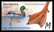 2023 1507 Belarus Features Of Waterfowl MNH - Bielorrusia