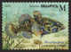 2023 1516 Belarus Invasive Species Of Flora And Fauna Of Belarus MNH - Belarus