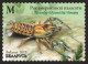 2023 1516 Belarus Invasive Species Of Flora And Fauna Of Belarus MNH - Belarus