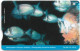 Cyprus - Cyta (Chip) - Two Banded Bream, Diplodus Vulgaris, 01.2010, 10€, 20.000ex, Used - Zypern