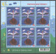 2023 1529 Belarus Children Of Belarus Draw MNH - Belarus