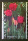 Australia, Scott #11368, Used (o), 1994, Greeting Series, Red Tulips, 45¢, Multicolored - Usati