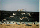 GULLS HOVERING CAPE COD NATIONAL SEASHORE   (scan Recto-verso) KEVREN00309 - Cape Cod