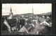 AK Pulsnitz I. Sa., Blick über Die Dächer Der Stadt  - Pulsnitz