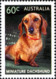 Australia 2013 MiNr. 3899 - 3903  Australien Dogs Hunde Pets 5v   MNH** 6,00 € - Honden