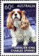 Delcampe - Australia 2013 MiNr. 3899 - 3903  Australien Dogs Hunde Pets 5v   MNH** 6,00 € - Honden