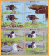 2019 Moldova Moldavie Booklet Europa-cept  Fauna, Birds, - Moldavie