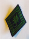 ECUSSON LOSANGE DE BRAS MOD 45,LEGION ETRANGERE - Patches