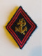 ECUSSON CANETILLE LOSANGE DE BRAS MOD 45, TROUPES COLONIALES, TROUPES DE MARINE (6) TROU TISSU - Patches