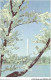 AJEP5-ETATS-UNIS-0498 - THE WASHINGTON MONUMENT  - Other & Unclassified