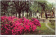 AJEP4-ETATS-UNIS-0320 - Chippewa Square - Showing General James Edward Oglethorpe Monument - Savannah - GEORGIA - Savannah