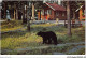 AJEP3-CANADA-0234 - An Early Morning Visitor To - PARADISE LODGE - BUNGALOWS - Box 7 - Lake Louise - Alberta - Canada - Other & Unclassified