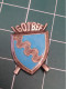 INSIGNE 601 BEF, BATTERIE EMISSION DE FUMEE, A BERTRAND - Army