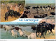 AJHP12-REGION-1086 - EN CAMARGUE - Toros En Camargue - Provence-Alpes-Côte D'Azur