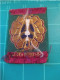 INSIGNE TISSU 25EME DP, 25 EME DIVISION PARACHUTISTE 1956- 1961 GUERRE D'ALGERIE - Scudetti In Tela