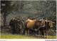 AJJP6-0590 - METIER - IMAGE DU LIMOUSIN PITTORESQUE  - Farmers