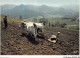 AJJP6-0587 - METIER - L'ATTELAGE  - Farmers