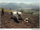 AJJP6-0586 - METIER - L'ATTELAGE  - Farmers