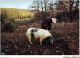 AJJP6-0579 - METIER - LE CHERCHEUR DE TRUFFES  - Landbouwers
