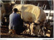 AJJP6-0581 - METIER - SCENE PASTORALE DANS L'AUBRAC - LA TRAITE DES VACHES  - Farmers
