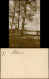 Lehnin-Kloster Lehnin Umland-Ansicht Colpin See Echtfoto-AK 1920 - Lehnin