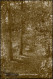 Ansichtskarte Lehnin-Kloster Lehnin Echtfoto-AK Waldweg Am Colpin-See 1920 - Lehnin