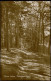 Lehnin-Kloster Lehnin Waldweg Am Schütt Umland-Ansicht Echtfoto-AK 1920 - Lehnin