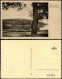 Ansichtskarte Lehnin-Kloster Lehnin Umland-Partie Am Gohlitzsee 1920 - Lehnin