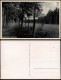 Lehnin-Kloster Lehnin Umland-Ansicht Wildwiese Mit Wald Partie 1920 - Lehnin