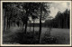 Lehnin-Kloster Lehnin Umland-Ansicht Wildwiese Mit Wald Partie 1920 - Lehnin