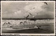 Ansichtskarte Graal-Müritz Strand Ostsee, Seestimmung Mit Möven 1958/1955 - Graal-Müritz