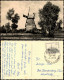 Ansichtskarte Graal-Müritz Partie An Der Windmühle Zur DDR-Zeit 1961/1960 - Graal-Müritz