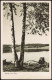 Ansichtskarte  Stimmungsbild Natur "Birke Am See" 1950 - Non Classés