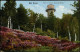 Ansichtskarte Bad Essen Aussichtsturm Aud Dem Essener Berge 1913 - Bad Essen