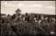 Burg An Der Wupper-Solingen Panorama-Ansicht Blick Auf Das Schloß (Castle) 1956 - Solingen