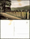 Ansichtskarte  Totenbretter Im Bayr. Wad (color Foto-Ansicht) 1960 - Non Classés