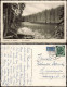 Ansichtskarte Braunlage Umland-Ansicht Der Silberteich Oberharz 1953 - Braunlage