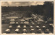 Ansichtskarte Brühl Partie Im Schloss-Park Schlosspark 1943 - Bruehl