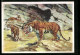 Künstler-AK Tiger, 3 Tiere In Der Schlucht, Carl Hagenbecks Tierpark  - Tigres