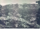 Ab688 Cartolina Lagonegro Panorama E Monte Sirino Provincia Di Potenza - Potenza